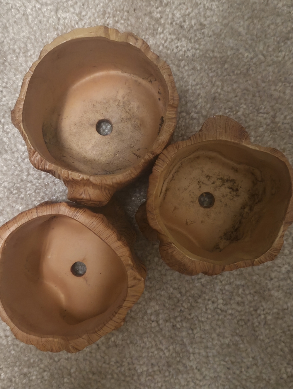 Rustic Tree Stump Planters - Picture 3 of 10
